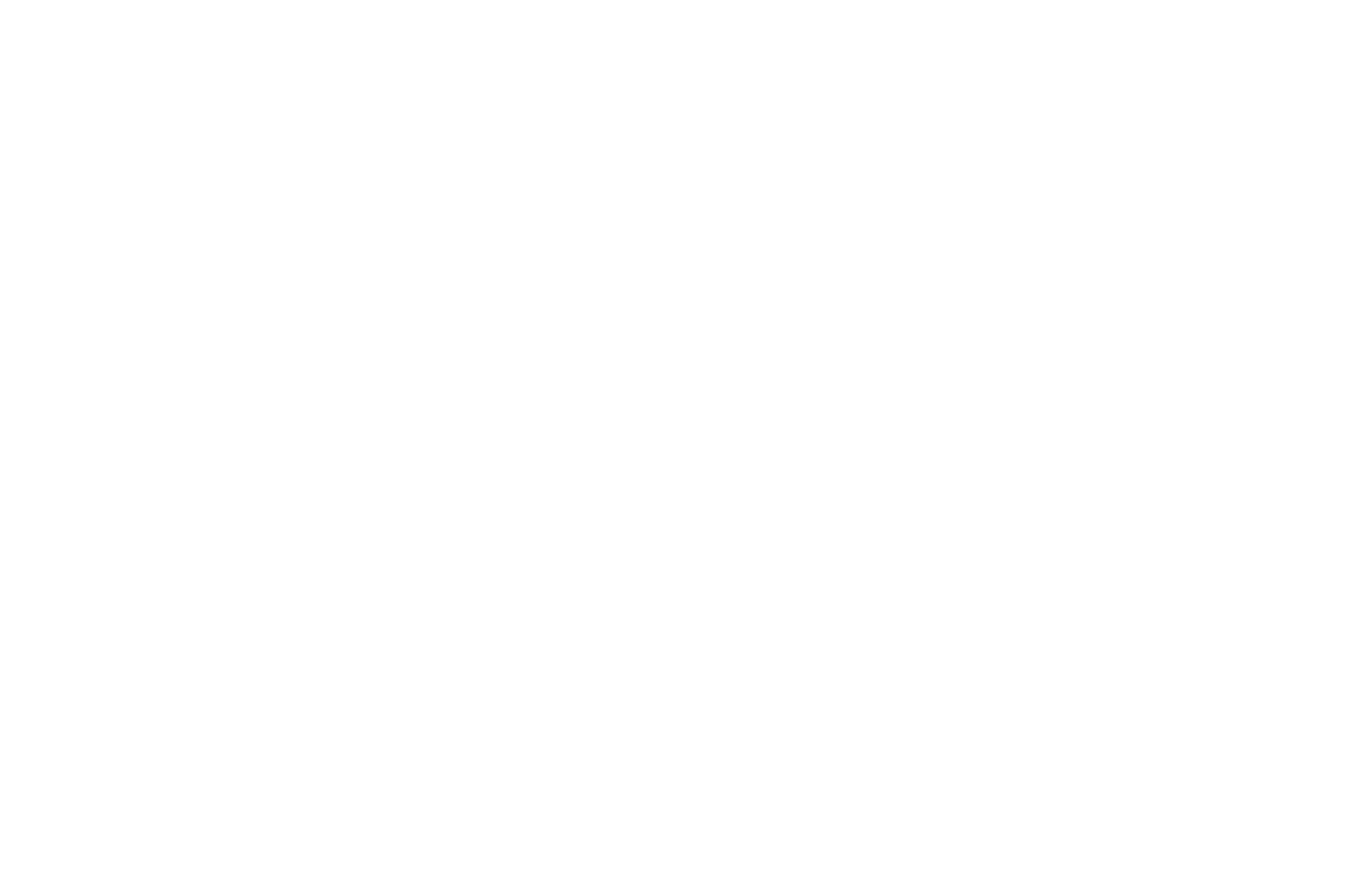Official Selection – Touchstone Independent Film Festival 2026